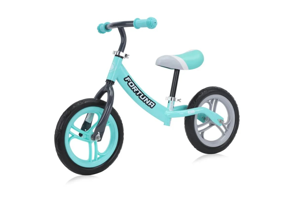 Bicicleta de echilibru, Fortuna, 2-5 Ani, Grey & Green